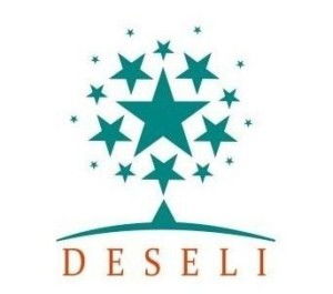 福建大森林文化傳播 連接傳統(tǒng)與現代的綠色紐帶